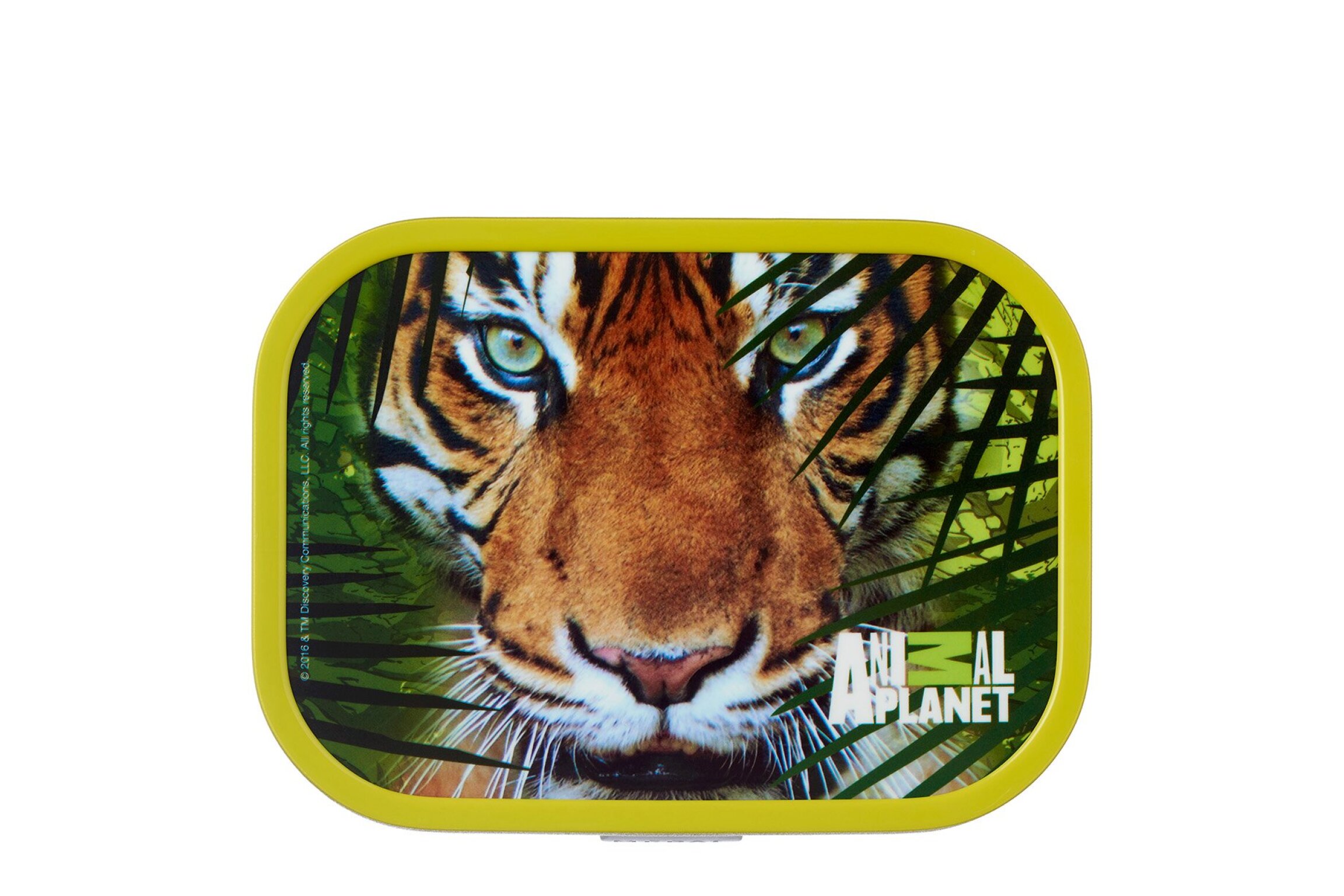 brotdose campus - animal planet tiger