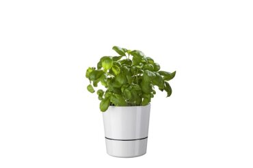 hydro kräutertopf groß - nordic blue