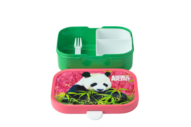 lunch-set-campus-pulb-animal-planet-panda