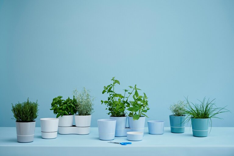 hydro-herb-pot-twin-nordic-blue