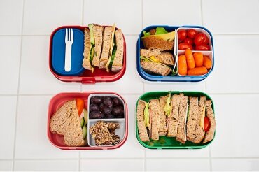 lunch box campus - cars go