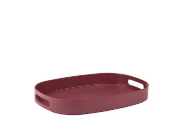serving tray synthesis - nordic berry
