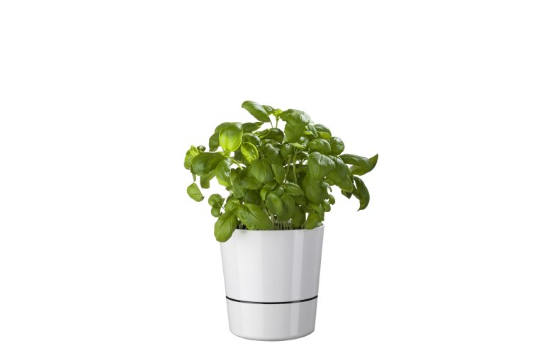 pot-hydro-pour-plantes-aromatiques-gm-gris