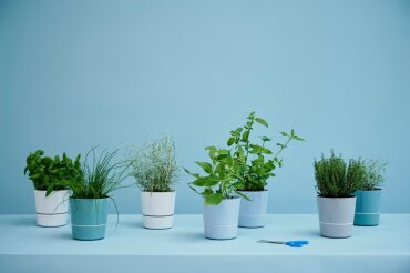 pot hydro pour herbes aromatiques gm - nordic blue