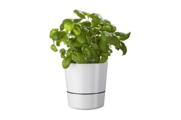 Pot Hydro Pour Plantes (Aromatiques) Gm - Blanc