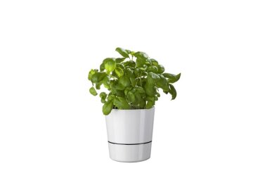 pot hydro pour herbes aromatiques gm - Nordic Green