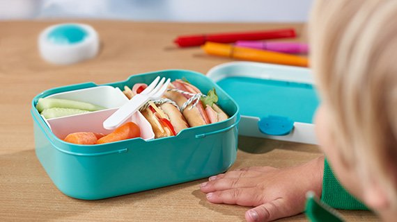 campus bento lp
