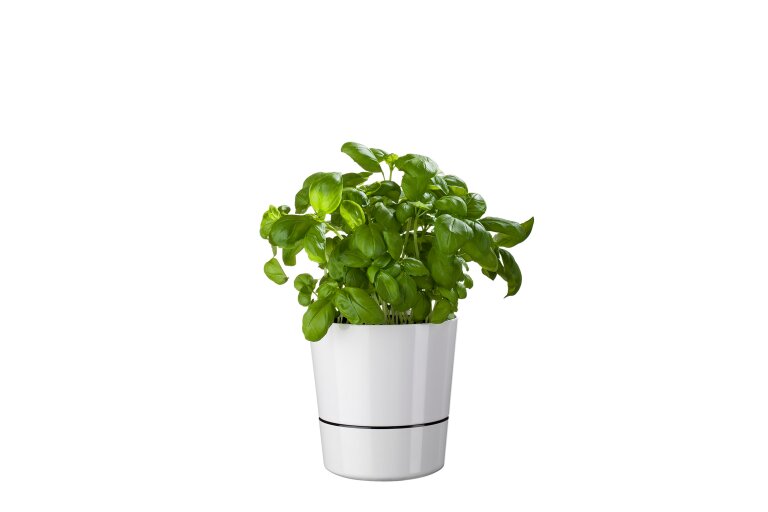 kruidenpot-large-zwart