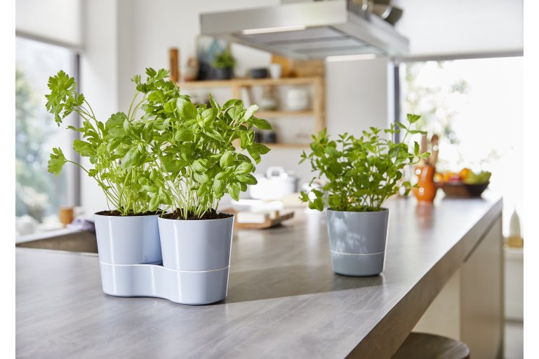 kruidenpot-twin-nordic-blue