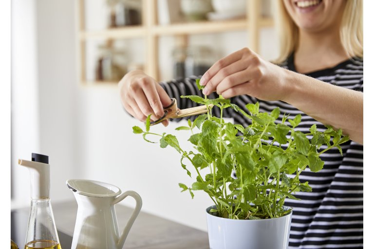 kruidenpot-large-nordic-green