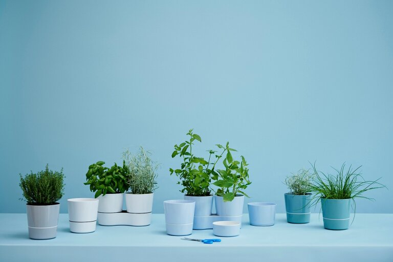 kruidenpot-twin-nordic-blue