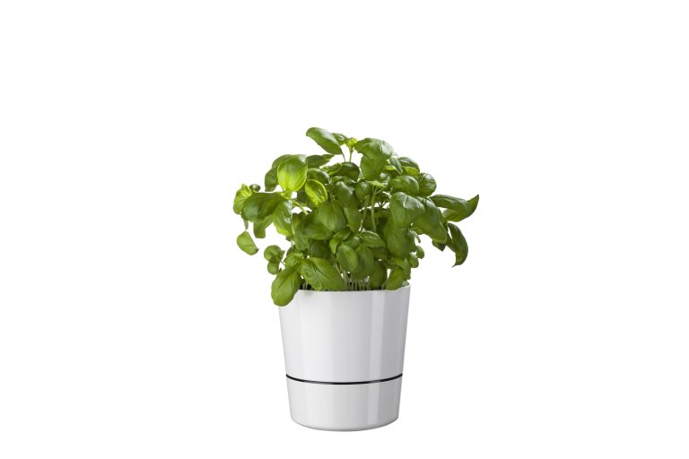 kruidenpot-large-nordic-green
