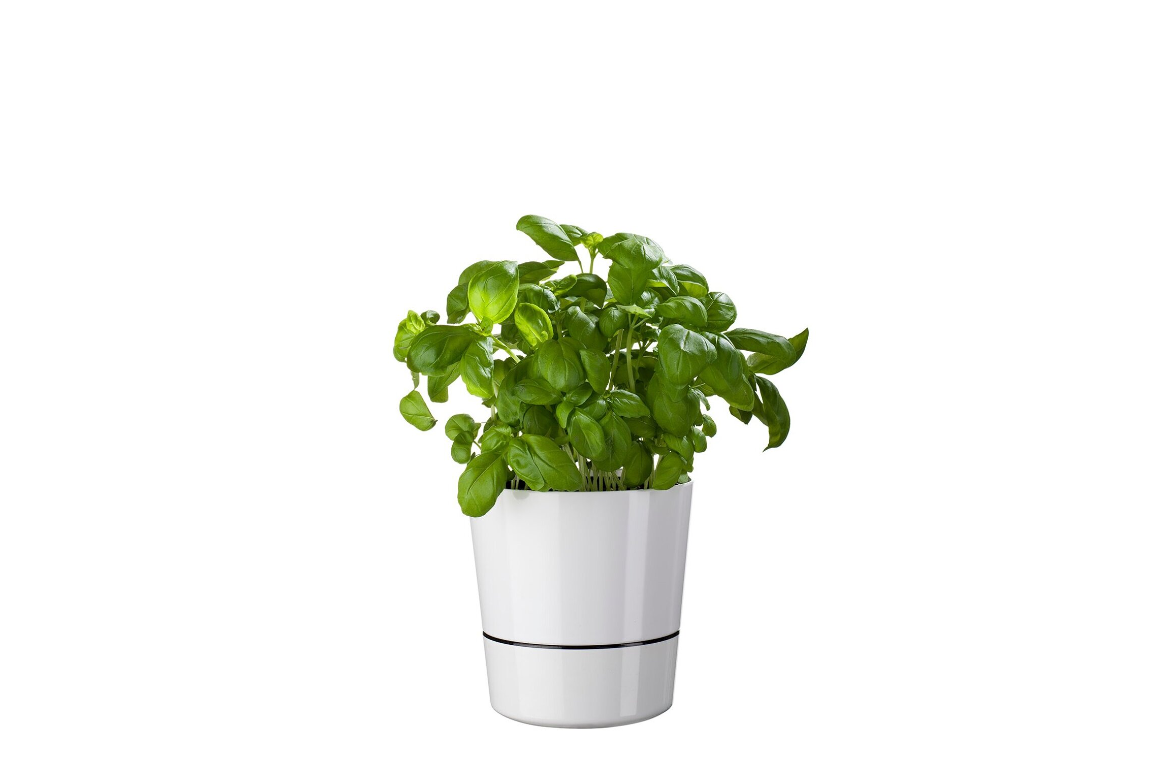 Kruidenpot Large - Zwart
