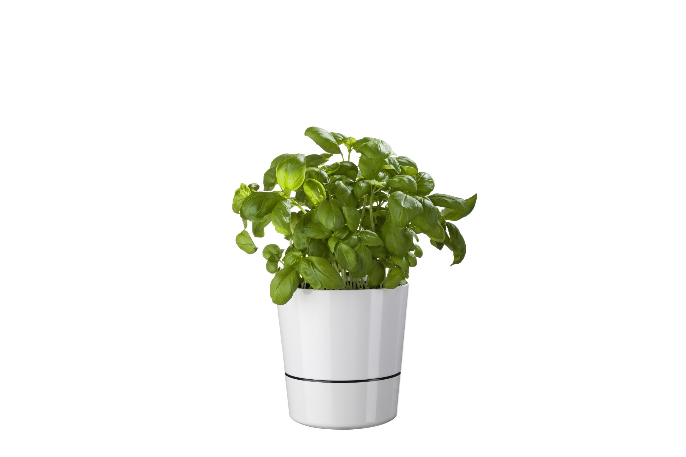 Kruidenpot Large - Nordic Green