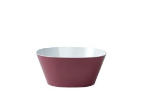 schaal conix 3.0 l - nordic berry