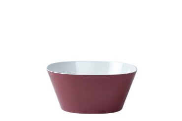 schaal conix 3.0 l - nordic berry