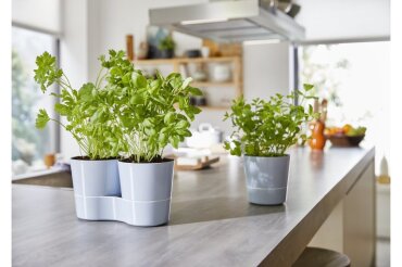 Kruidenpot Twin - Wit