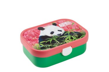 lunchbox campus - animal planet panda