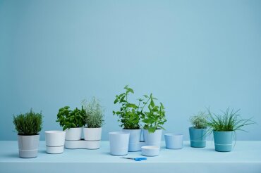 Kruidenpot twin - nordic blue
