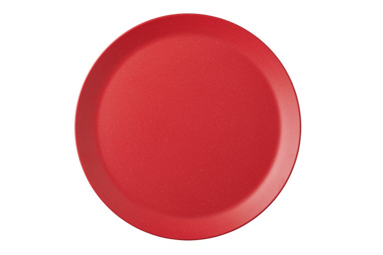 dinner-plate-bloom-280-mm-pebble-red